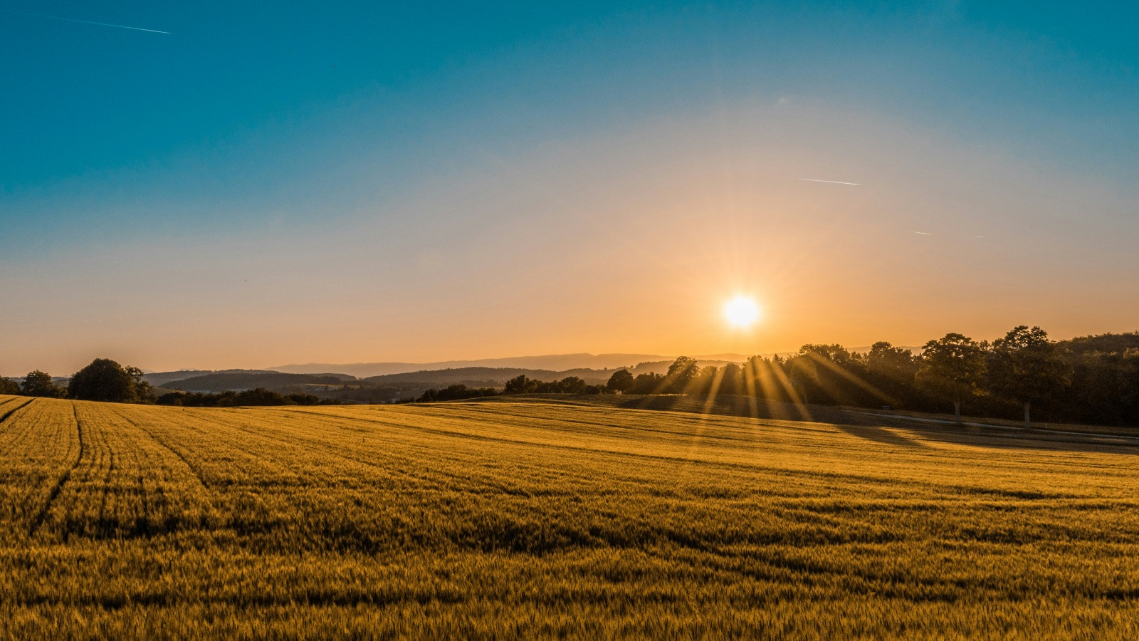 good property management during UK heatwave